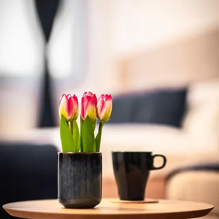 Apartman Zlatanovic Ягодина Экстерьер фото